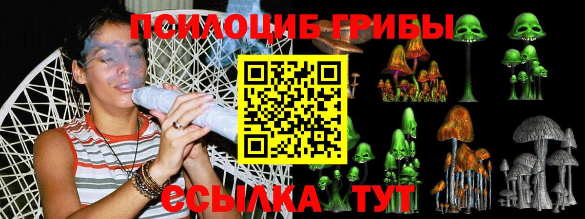 Псилоцибиновые грибы Cubensis  Галлюциногенные грибы GOLDEN TEACHER  где купить   Вход с VPN  Элиста 