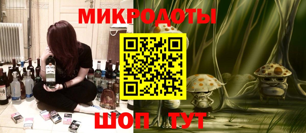 Псилоцибиновые грибы Psilocybe Элиста